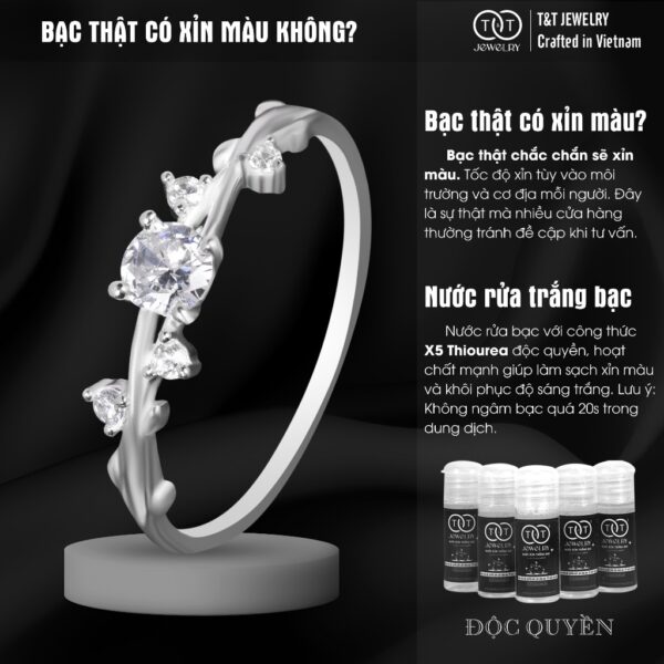 Nhẫn Bạc Nữ Cành Lá Tinh Tế Đính Đá CZ Long Lanh T&T Jewelry N2257 - Ảnh 6